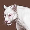 [Jaglion] Piercings (Gold)